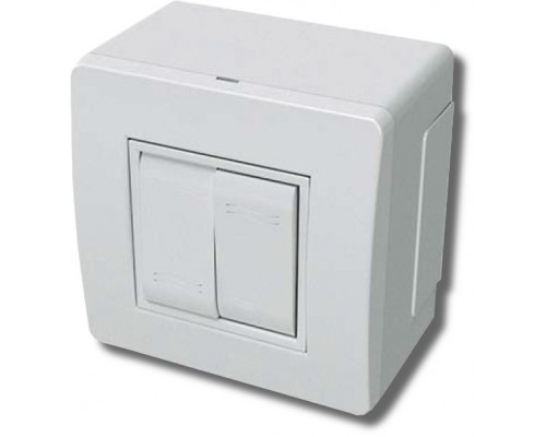 Коробка в сборе с 2-клавишным выключателем, белая (10001)