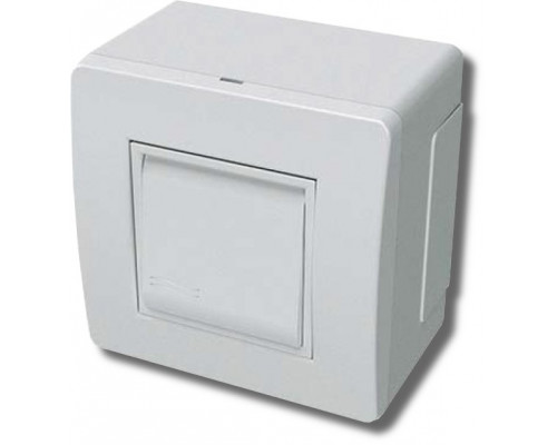 Коробка в сборе с выключателем, белая (10002)