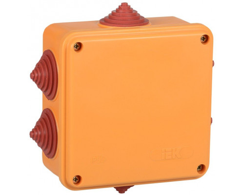 Коробка 100х100х50 2P IP55 (UKF30-100-100-050-2-4-09)
